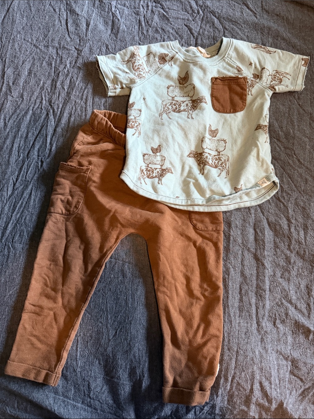 Kids Animal Print Tee & Rust Jogger Set